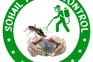 STC-Logo-Psd-6-2-1024x1024